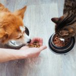 Gesunde Snacks, die Sie online kaufen können und die wirklich gut schmecken